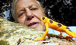 El ecologista Sir David Attenborough