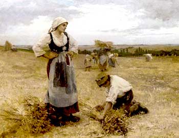 Campesinos cosechando