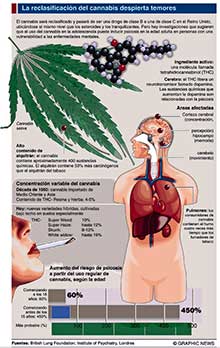 efectos marihuana cannabis